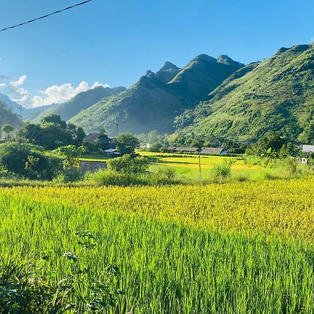 Du Gia Field View Homestay Làng Cac المظهر الخارجي الصورة