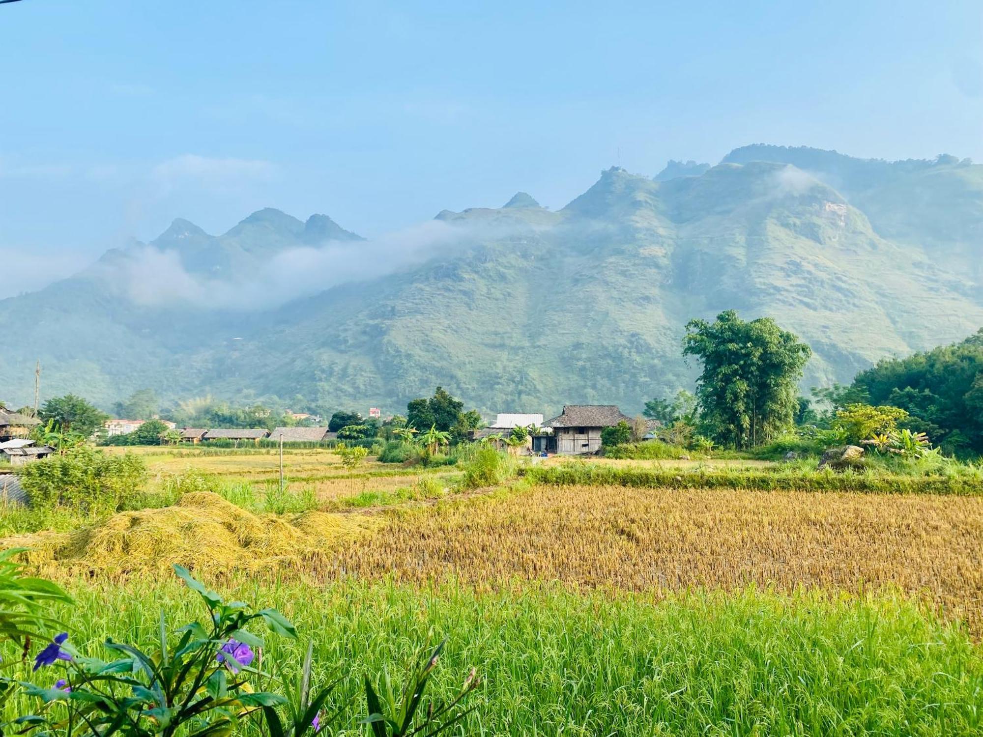 Du Gia Field View Homestay Làng Cac المظهر الخارجي الصورة