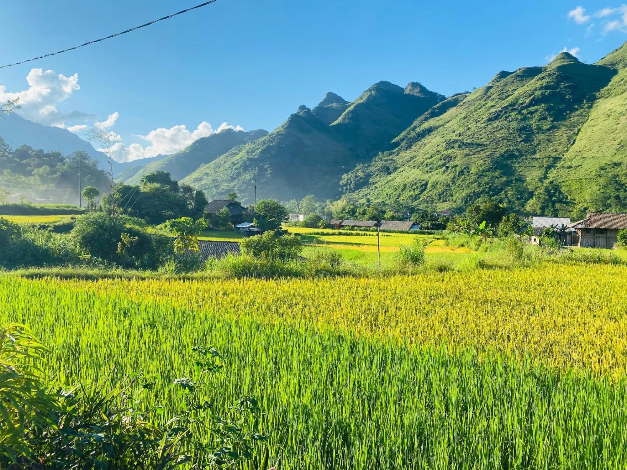 Du Gia Field View Homestay Làng Cac المظهر الخارجي الصورة