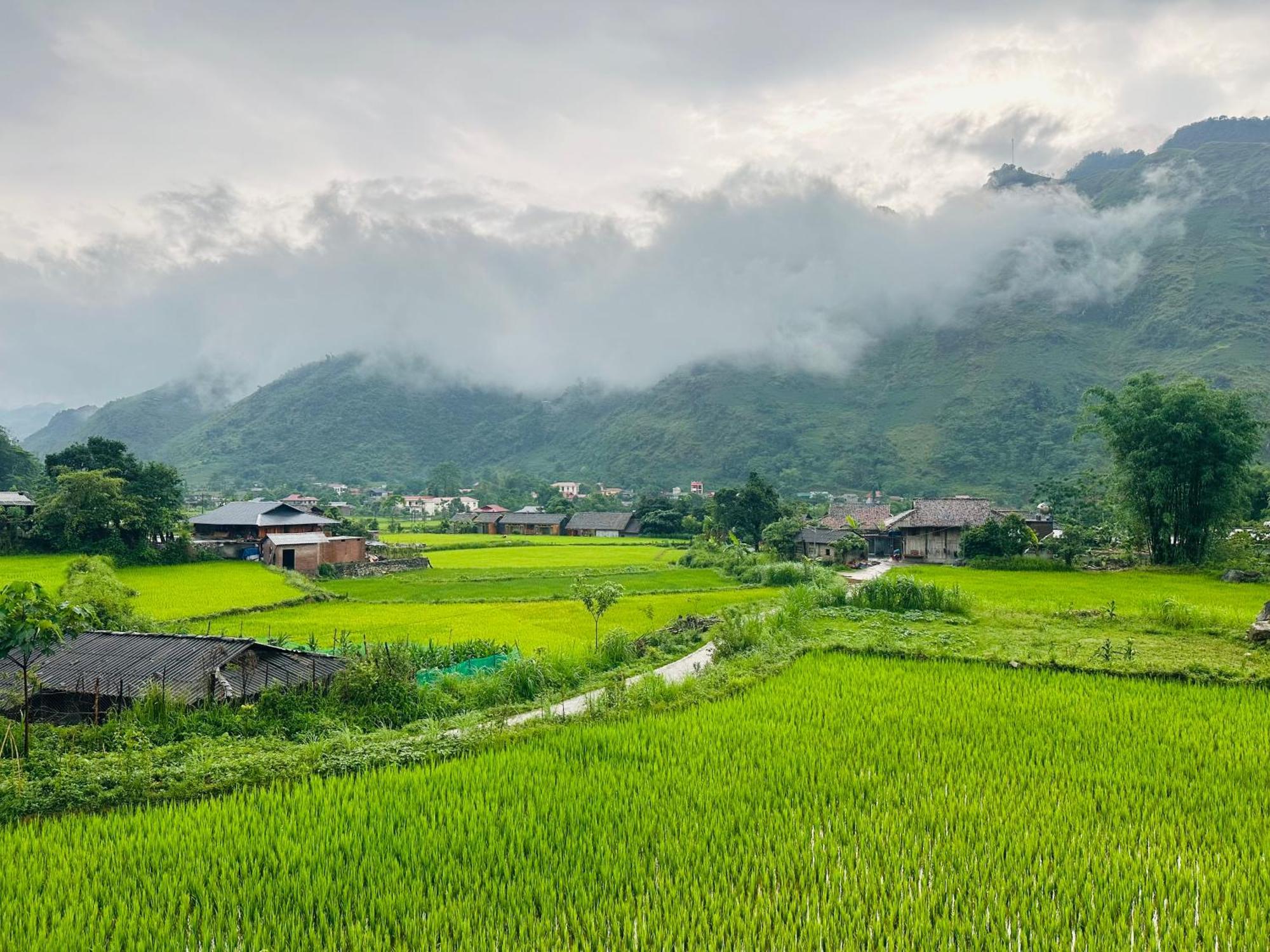 Du Gia Field View Homestay Làng Cac المظهر الخارجي الصورة
