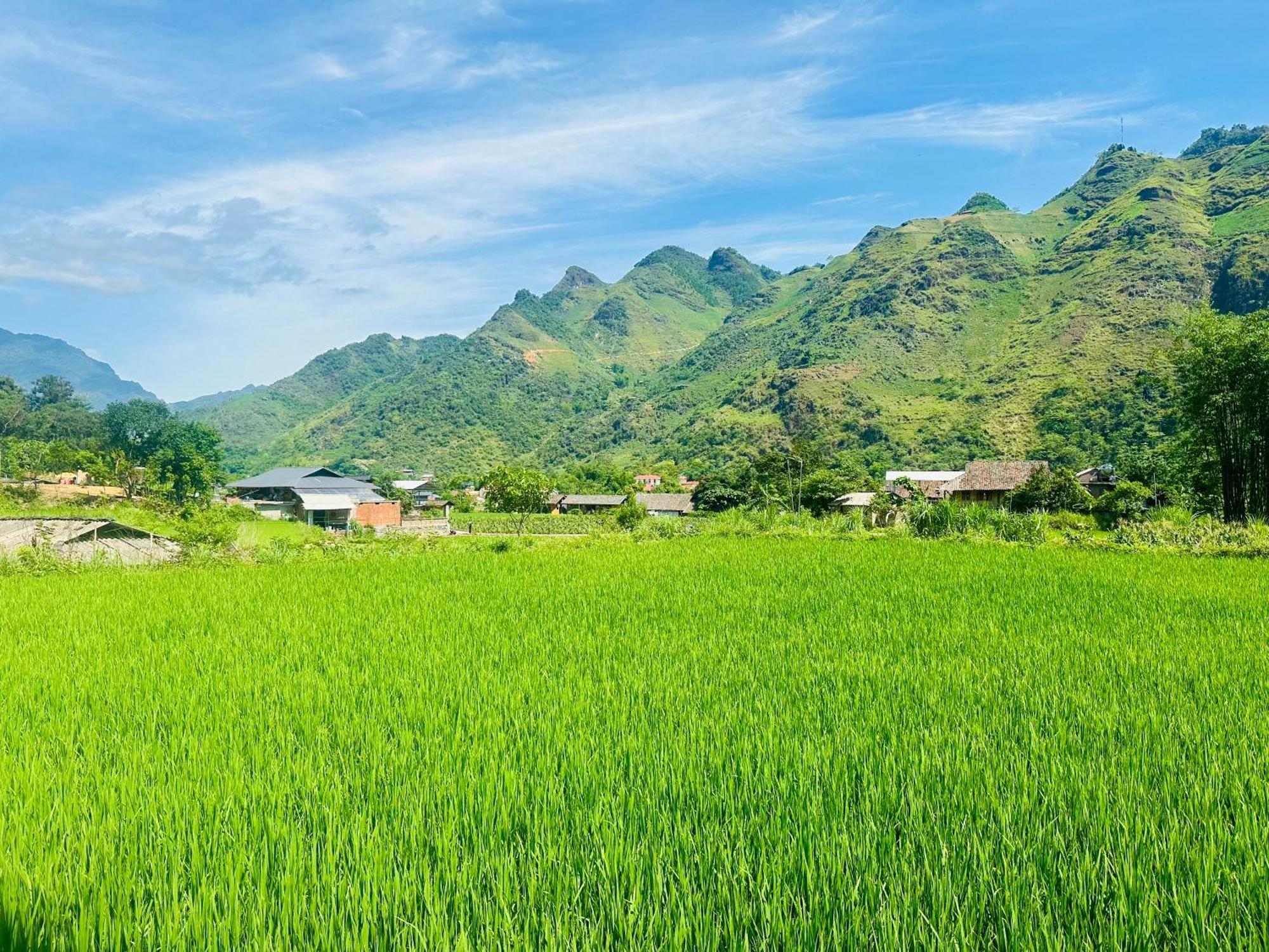 Du Gia Field View Homestay Làng Cac المظهر الخارجي الصورة